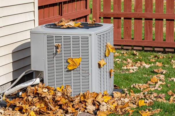 Best HVAC maintenance near me  in Issaquah, WA